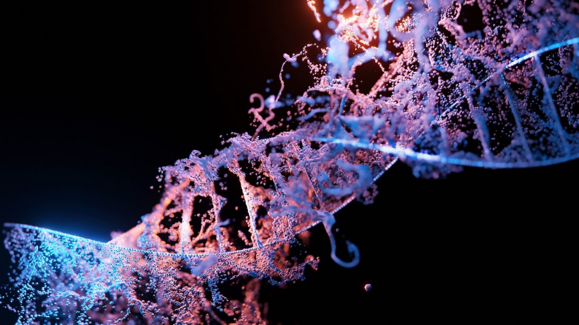 Test ADN de chromosome X