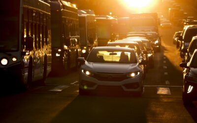 voitures adaptées aux conducteurs novices