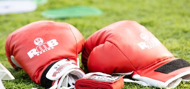 Les meilleures marques de boxe à connaître en 2025