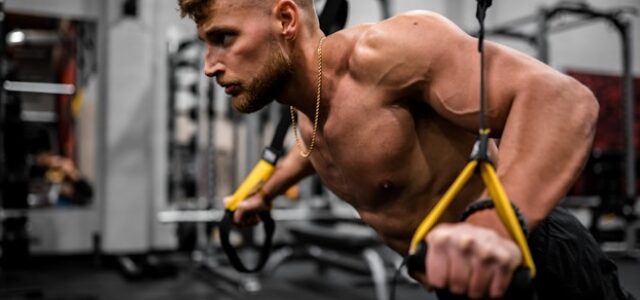 Focus sur les meilleurs exercices de musculation pour maximiser votre prise de masse