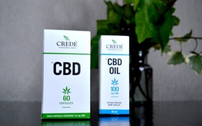 maladies neurodégénératives